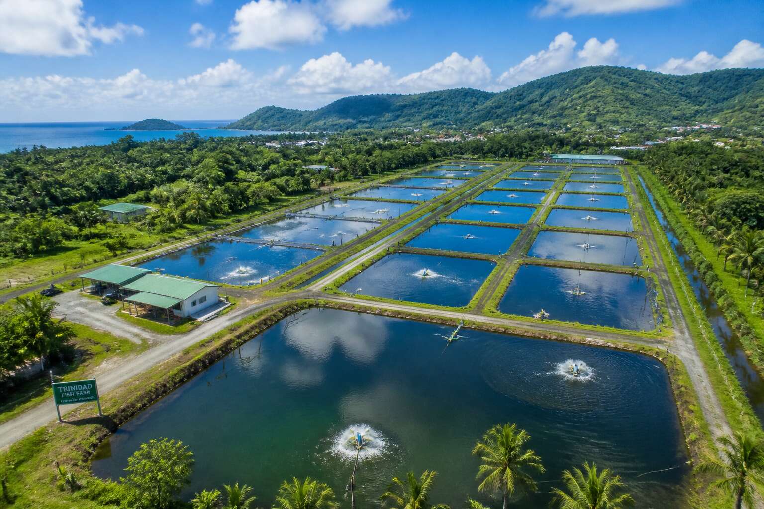generated_image_6ac97de2dc59f.jpg fish farm trinidad