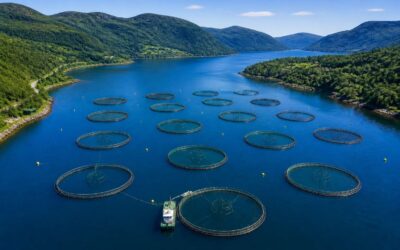 Stunning fish farm pictures that show aquaculture up close.